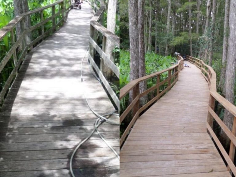 Before and After Walkway Cleaning