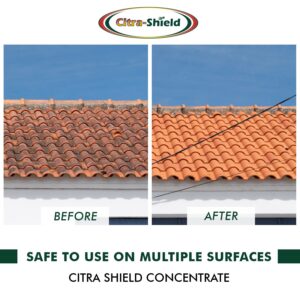 Citra Shield Natural Heavy-Duty Black & Green Stain Removal Contractor Strength